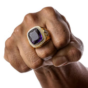 A large, two-tone amethyst bishop ring in 14K gold-plated sterling silver, with a silver Fleur-de-lis on the side.
