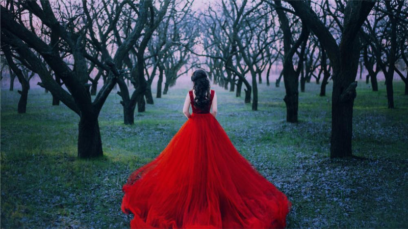 gothic prom dress red Black Red Long Gothic Prom Dress D1033